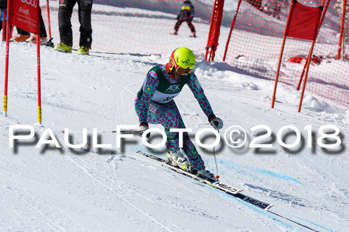 FIS, Int. Dt. Meisterschaft Abfahrt, Training, NC, NJC Damen + Herren, 22.03.2018