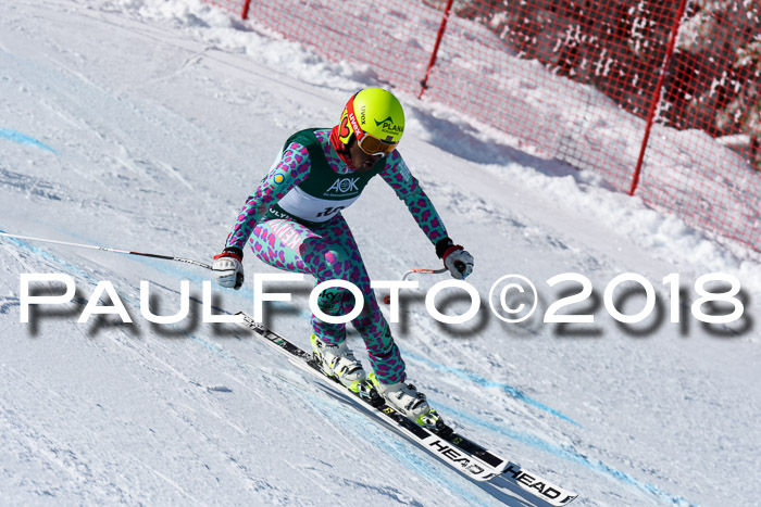 FIS, Int. Dt. Meisterschaft Abfahrt, Training, NC, NJC Damen + Herren, 22.03.2018