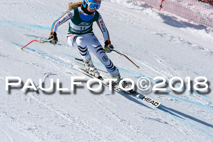 FIS, Int. Dt. Meisterschaft Abfahrt, Training, NC, NJC Damen + Herren, 22.03.2018