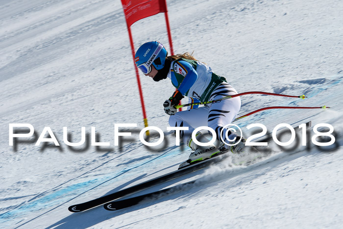 FIS, Int. Dt. Meisterschaft Abfahrt, Training, NC, NJC Damen + Herren, 22.03.2018