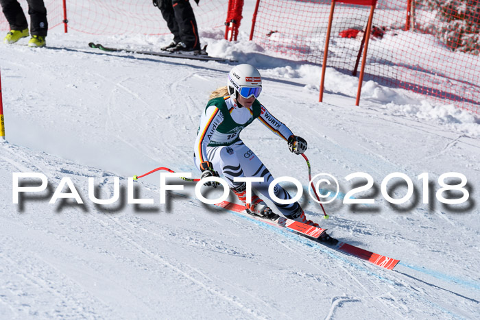 FIS, Int. Dt. Meisterschaft Abfahrt, Training, NC, NJC Damen + Herren, 22.03.2018
