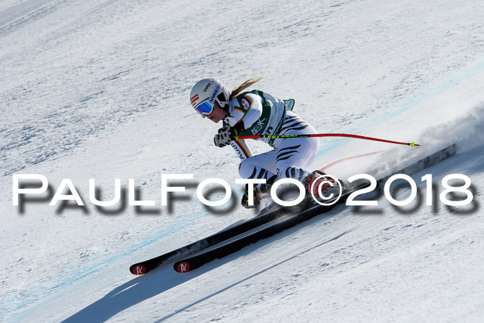 FIS, Int. Dt. Meisterschaft Abfahrt, Training, NC, NJC Damen + Herren, 22.03.2018