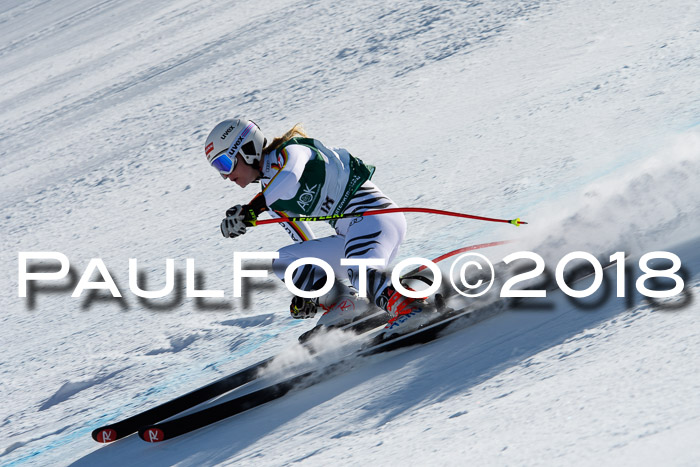 FIS, Int. Dt. Meisterschaft Abfahrt, Training, NC, NJC Damen + Herren, 22.03.2018