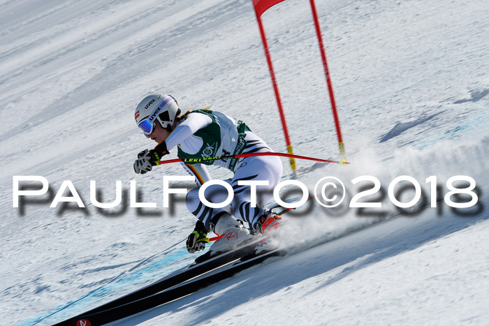FIS, Int. Dt. Meisterschaft Abfahrt, Training, NC, NJC Damen + Herren, 22.03.2018