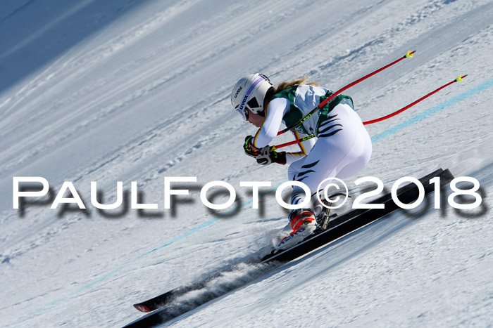 FIS, Int. Dt. Meisterschaft Abfahrt, Training, NC, NJC Damen + Herren, 22.03.2018