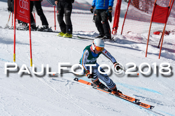 FIS, Int. Dt. Meisterschaft Abfahrt, Training, NC, NJC Damen + Herren, 22.03.2018