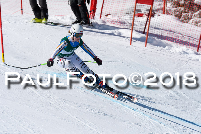FIS, Int. Dt. Meisterschaft Abfahrt, Training, NC, NJC Damen + Herren, 22.03.2018