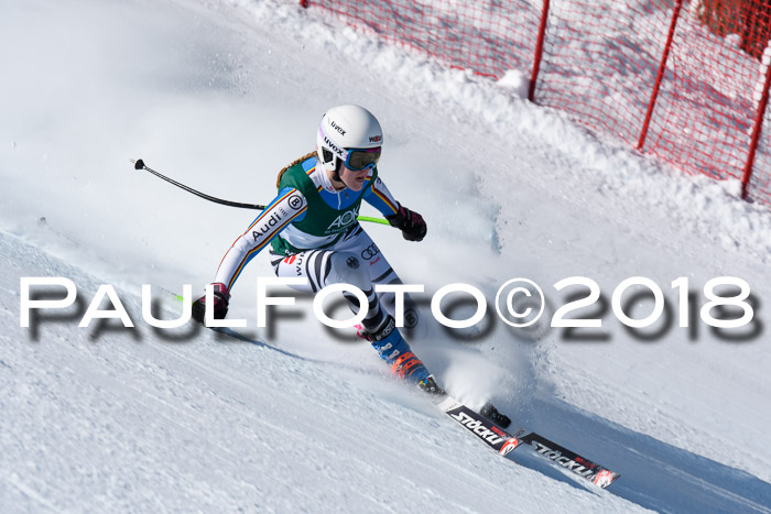 FIS, Int. Dt. Meisterschaft Abfahrt, Training, NC, NJC Damen + Herren, 22.03.2018