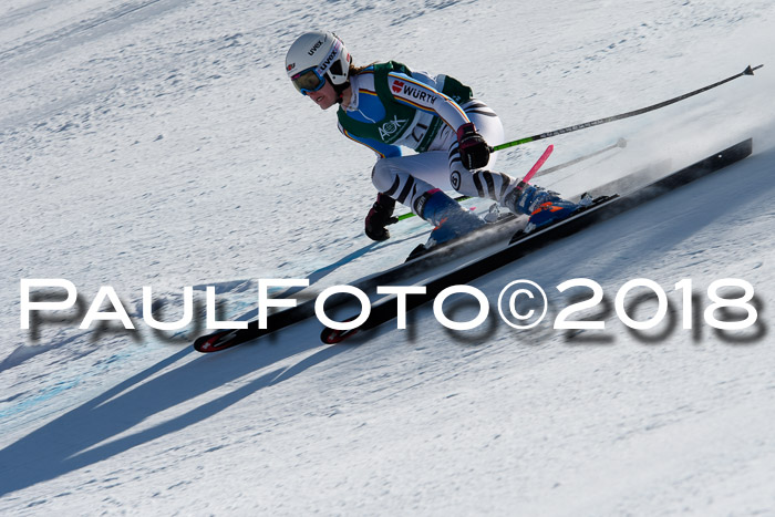 FIS, Int. Dt. Meisterschaft Abfahrt, Training, NC, NJC Damen + Herren, 22.03.2018