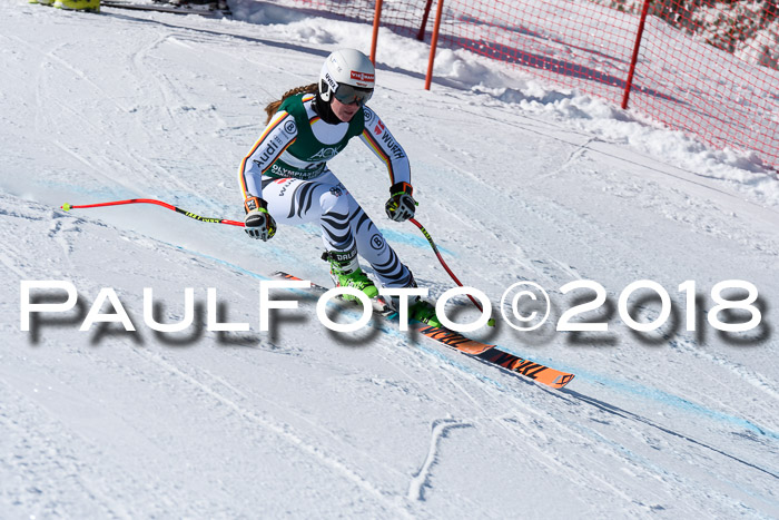 FIS, Int. Dt. Meisterschaft Abfahrt, Training, NC, NJC Damen + Herren, 22.03.2018