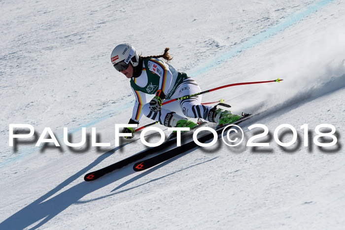 FIS, Int. Dt. Meisterschaft Abfahrt, Training, NC, NJC Damen + Herren, 22.03.2018
