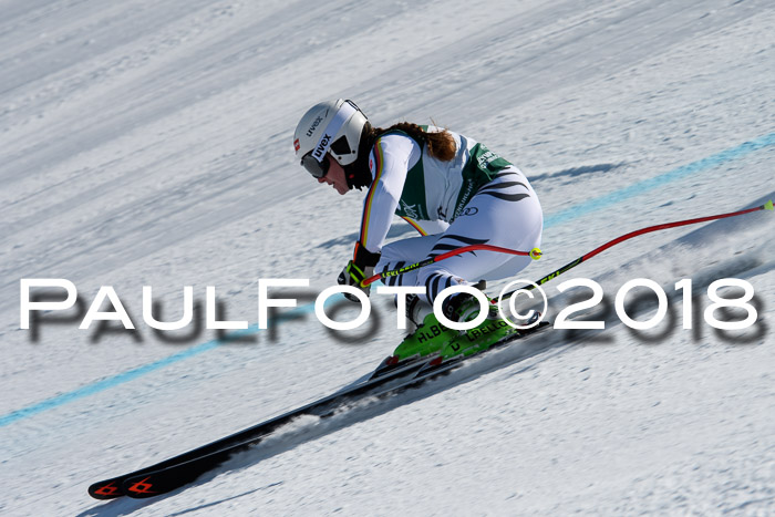 FIS, Int. Dt. Meisterschaft Abfahrt, Training, NC, NJC Damen + Herren, 22.03.2018