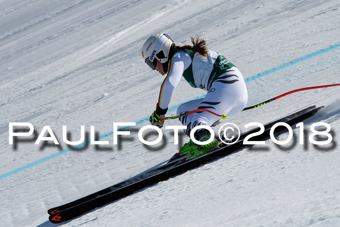 FIS, Int. Dt. Meisterschaft Abfahrt, Training, NC, NJC Damen + Herren, 22.03.2018
