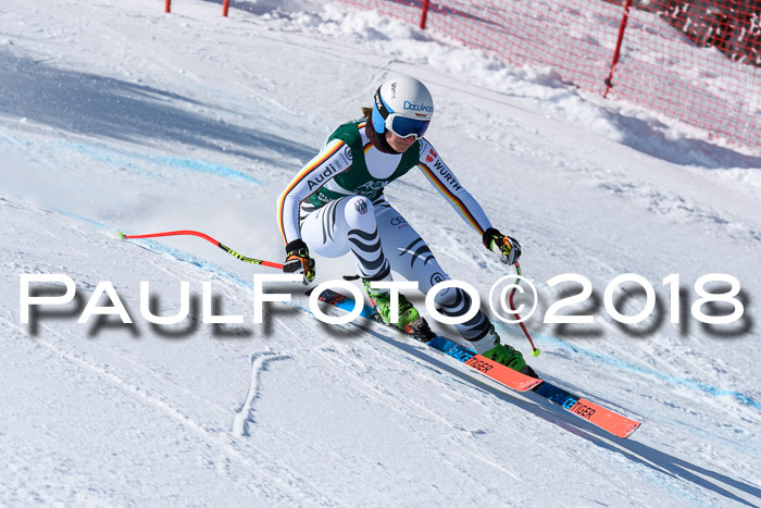 FIS, Int. Dt. Meisterschaft Abfahrt, Training, NC, NJC Damen + Herren, 22.03.2018