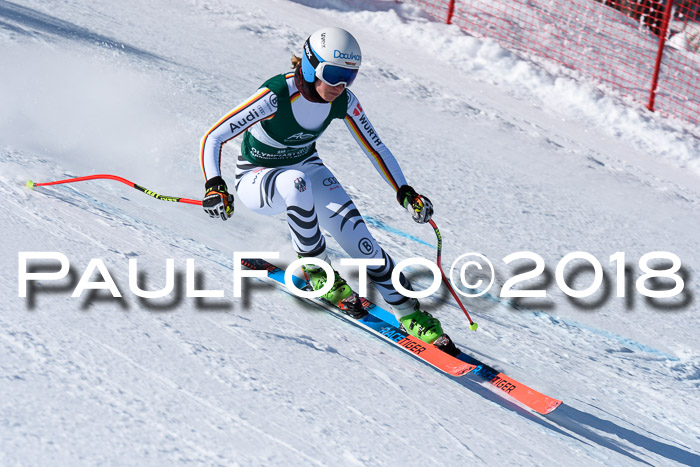 FIS, Int. Dt. Meisterschaft Abfahrt, Training, NC, NJC Damen + Herren, 22.03.2018
