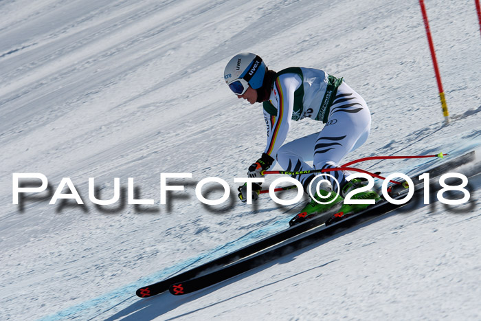 FIS, Int. Dt. Meisterschaft Abfahrt, Training, NC, NJC Damen + Herren, 22.03.2018