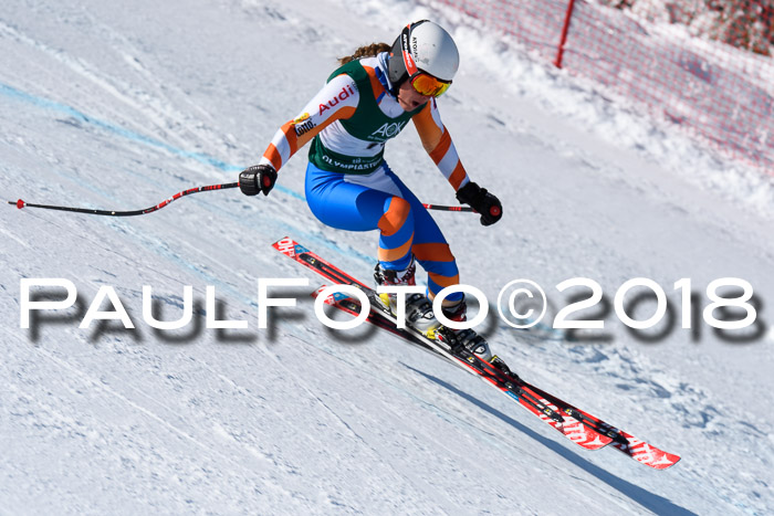 FIS, Int. Dt. Meisterschaft Abfahrt, Training, NC, NJC Damen + Herren, 22.03.2018