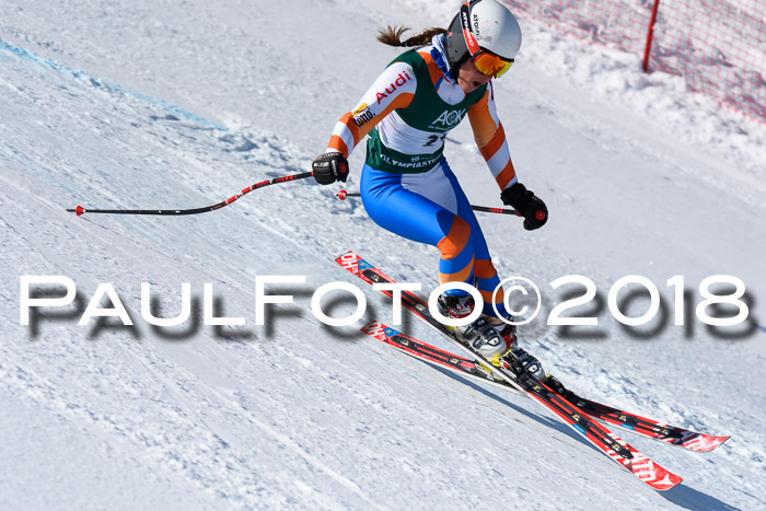 FIS, Int. Dt. Meisterschaft Abfahrt, Training, NC, NJC Damen + Herren, 22.03.2018