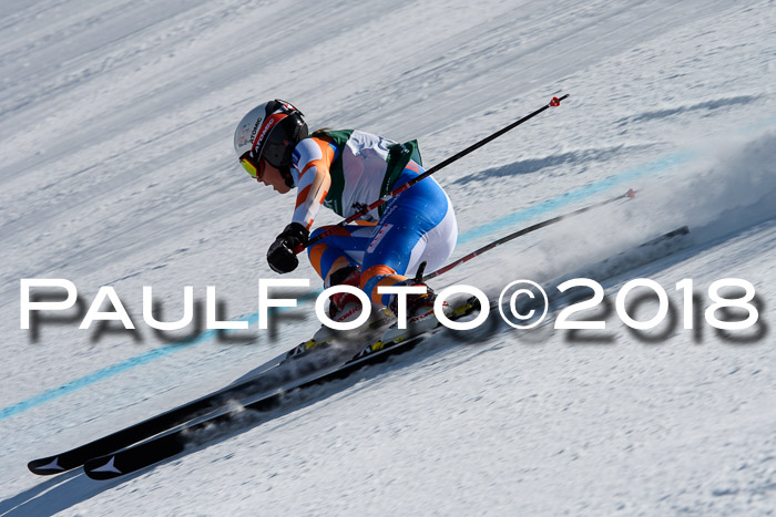 FIS, Int. Dt. Meisterschaft Abfahrt, Training, NC, NJC Damen + Herren, 22.03.2018