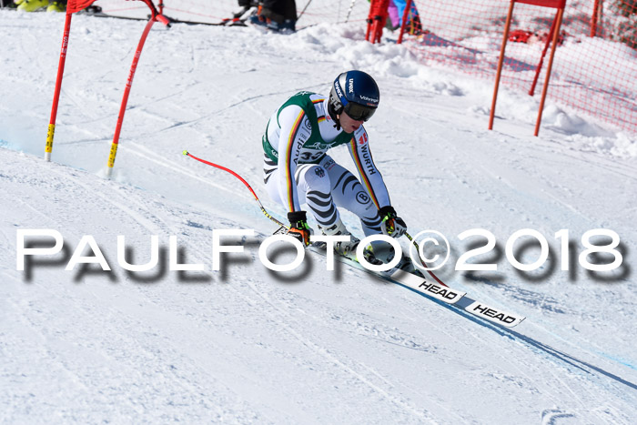 FIS, Int. Dt. Meisterschaft Abfahrt, Training, NC, NJC Damen + Herren, 22.03.2018