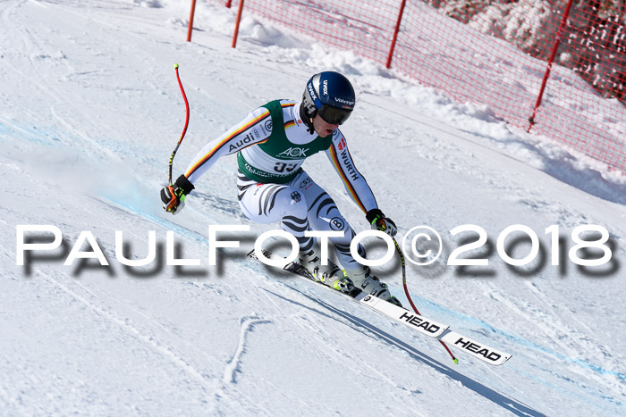 FIS, Int. Dt. Meisterschaft Abfahrt, Training, NC, NJC Damen + Herren, 22.03.2018