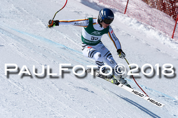 FIS, Int. Dt. Meisterschaft Abfahrt, Training, NC, NJC Damen + Herren, 22.03.2018