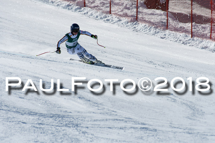 FIS, Int. Dt. Meisterschaft Abfahrt, Training, NC, NJC Damen + Herren, 22.03.2018