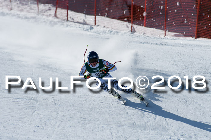 FIS, Int. Dt. Meisterschaft Abfahrt, Training, NC, NJC Damen + Herren, 22.03.2018