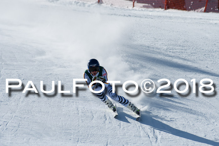 FIS, Int. Dt. Meisterschaft Abfahrt, Training, NC, NJC Damen + Herren, 22.03.2018
