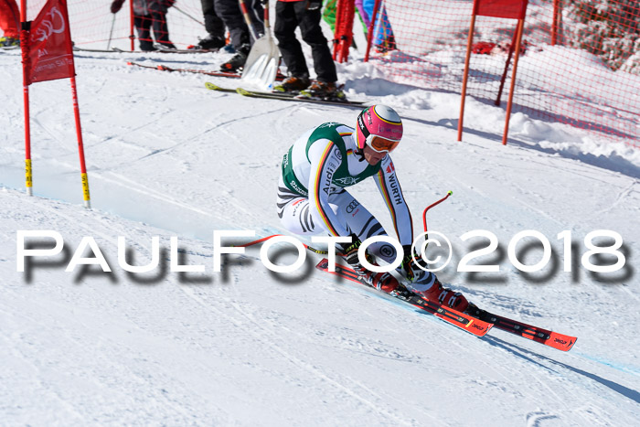 FIS, Int. Dt. Meisterschaft Abfahrt, Training, NC, NJC Damen + Herren, 22.03.2018