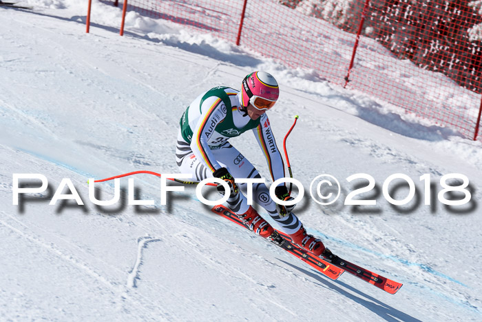 FIS, Int. Dt. Meisterschaft Abfahrt, Training, NC, NJC Damen + Herren, 22.03.2018