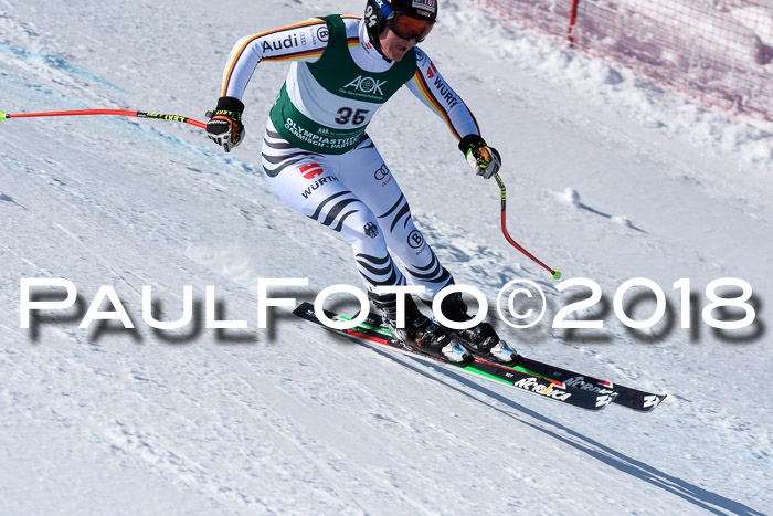 FIS, Int. Dt. Meisterschaft Abfahrt, Training, NC, NJC Damen + Herren, 22.03.2018