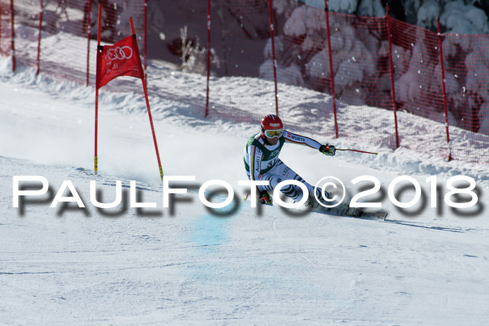 FIS, Int. Dt. Meisterschaft Abfahrt, Training, NC, NJC Damen + Herren, 22.03.2018