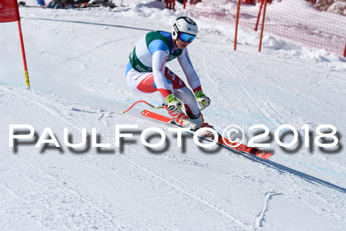 FIS, Int. Dt. Meisterschaft Abfahrt, Training, NC, NJC Damen + Herren, 22.03.2018