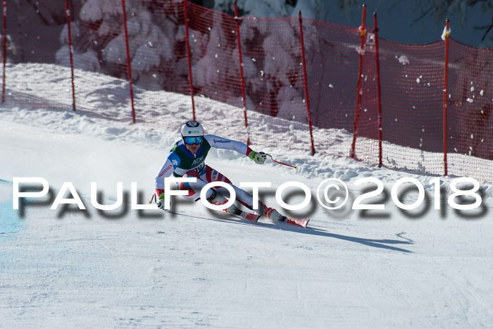 FIS, Int. Dt. Meisterschaft Abfahrt, Training, NC, NJC Damen + Herren, 22.03.2018