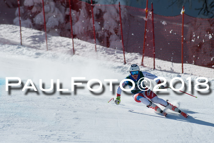 FIS, Int. Dt. Meisterschaft Abfahrt, Training, NC, NJC Damen + Herren, 22.03.2018