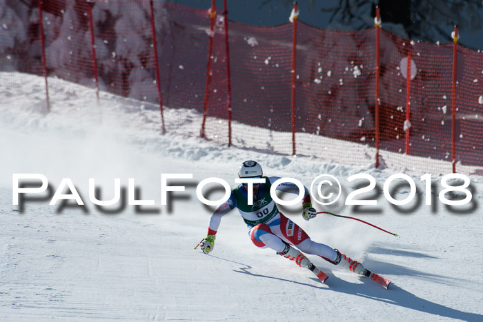 FIS, Int. Dt. Meisterschaft Abfahrt, Training, NC, NJC Damen + Herren, 22.03.2018