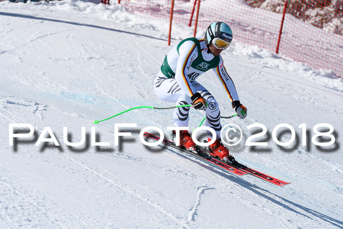FIS, Int. Dt. Meisterschaft Abfahrt, Training, NC, NJC Damen + Herren, 22.03.2018
