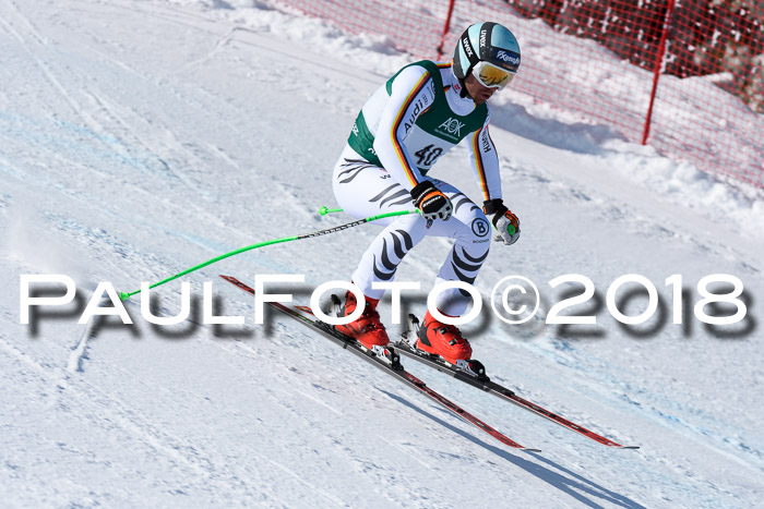 FIS, Int. Dt. Meisterschaft Abfahrt, Training, NC, NJC Damen + Herren, 22.03.2018