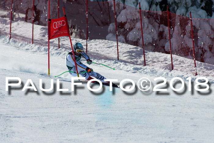 FIS, Int. Dt. Meisterschaft Abfahrt, Training, NC, NJC Damen + Herren, 22.03.2018