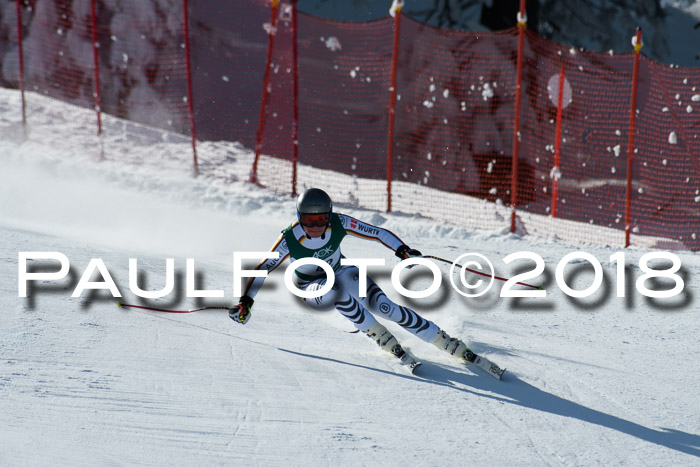 FIS, Int. Dt. Meisterschaft Abfahrt, Training, NC, NJC Damen + Herren, 22.03.2018
