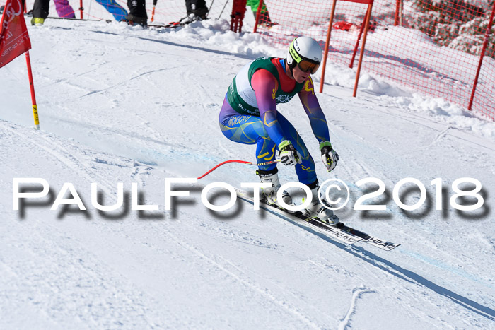 FIS, Int. Dt. Meisterschaft Abfahrt, Training, NC, NJC Damen + Herren, 22.03.2018