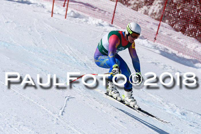 FIS, Int. Dt. Meisterschaft Abfahrt, Training, NC, NJC Damen + Herren, 22.03.2018