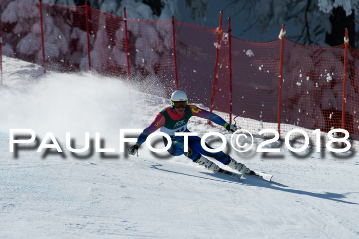FIS, Int. Dt. Meisterschaft Abfahrt, Training, NC, NJC Damen + Herren, 22.03.2018
