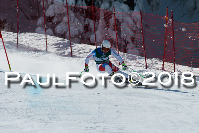 FIS, Int. Dt. Meisterschaft Abfahrt, Training, NC, NJC Damen + Herren, 22.03.2018
