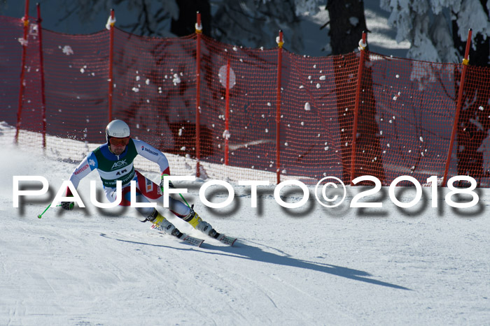 FIS, Int. Dt. Meisterschaft Abfahrt, Training, NC, NJC Damen + Herren, 22.03.2018
