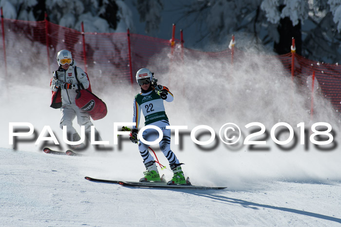 FIS, Int. Dt. Meisterschaft Abfahrt, Training, NC, NJC Damen + Herren, 22.03.2018