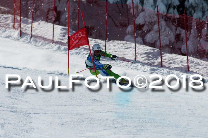 FIS, Int. Dt. Meisterschaft Abfahrt, Training, NC, NJC Damen + Herren, 22.03.2018
