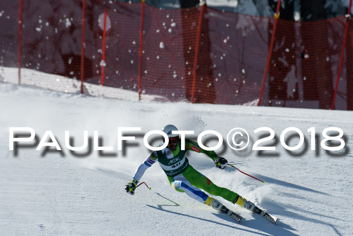 FIS, Int. Dt. Meisterschaft Abfahrt, Training, NC, NJC Damen + Herren, 22.03.2018