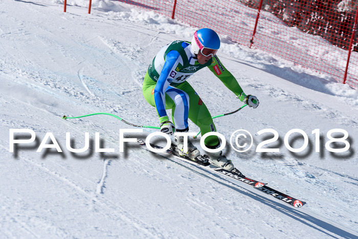 FIS, Int. Dt. Meisterschaft Abfahrt, Training, NC, NJC Damen + Herren, 22.03.2018
